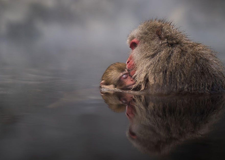 national-geographic-travel-photographer-of-the-year-contest-2016-58-572c45fa77a4c__880