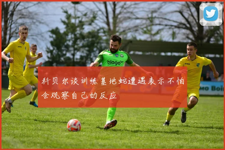 科贝尔谈训练基地蛇遭遇表示不怕会观察自己的反应
