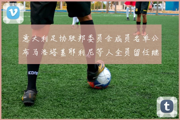 意大利足协联邦委员会成员名单公布马洛塔基耶利尼等人全员留任继续服务