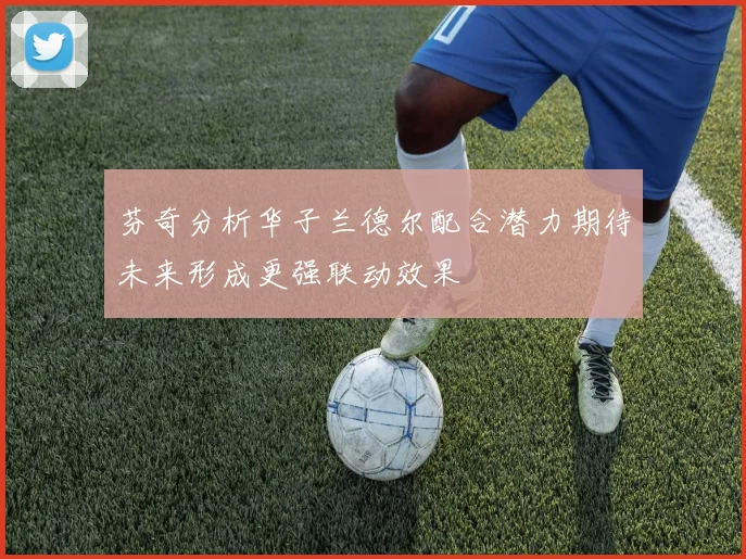 芬奇分析华子兰德尔配合潜力期待未来形成更强联动效果